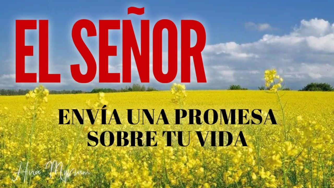 🙌🙌  SEÑOR BENDICE A TÚ PUEBLO  🙌🙌