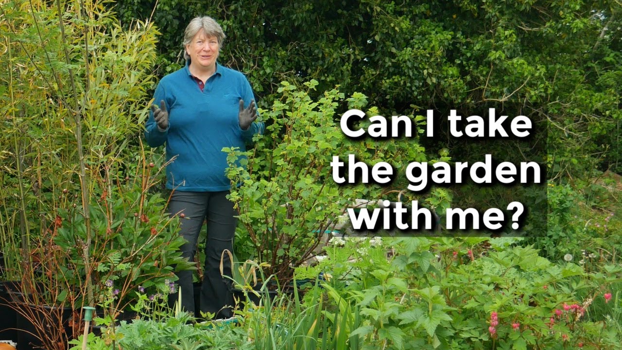 Moving your Garden to a New Property | Gardening preparations for a House Move