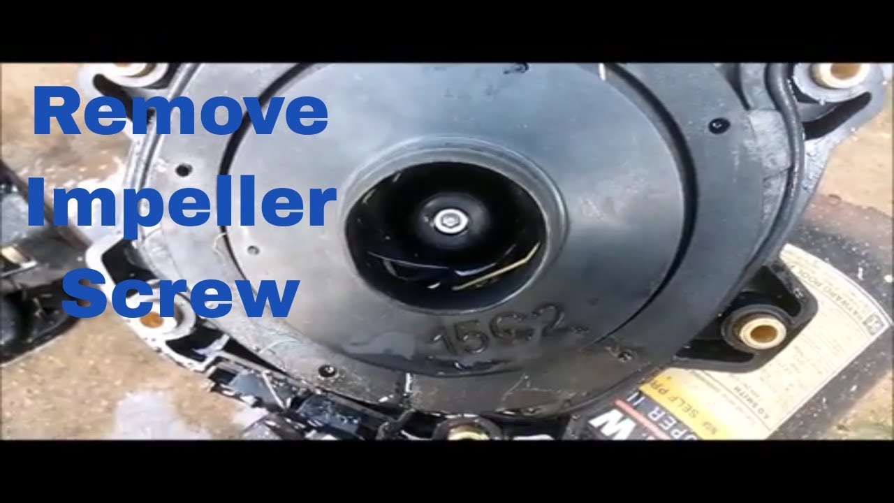 How do you remove pump impeller screws? Please Subscribe.