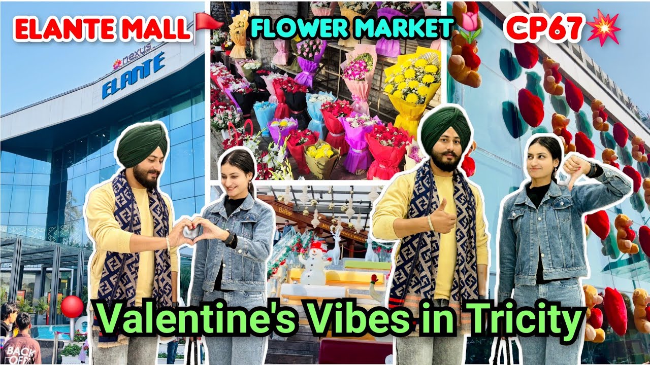 🌹Valentine’s Vibes in Tricity💌Elante Mall or Cp67❓Flower Market🌸🌷Where to celebrate🤔💕Best Locations📍