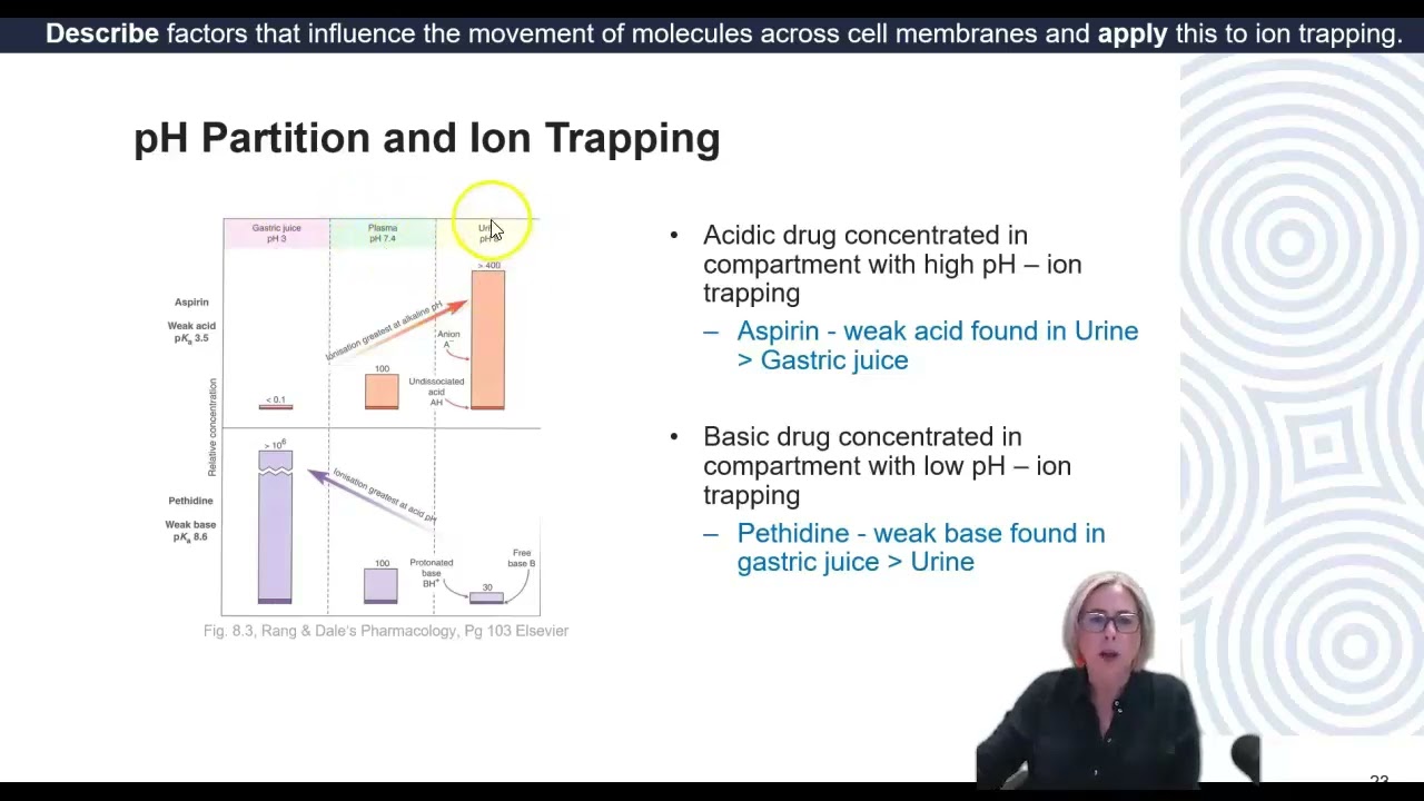 Physical processes of drug distribution and pH partitioning
