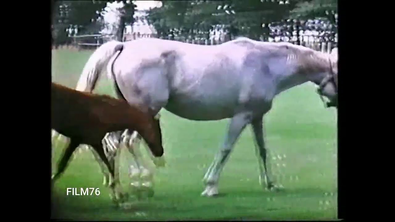 Neuenkirchen 7/9