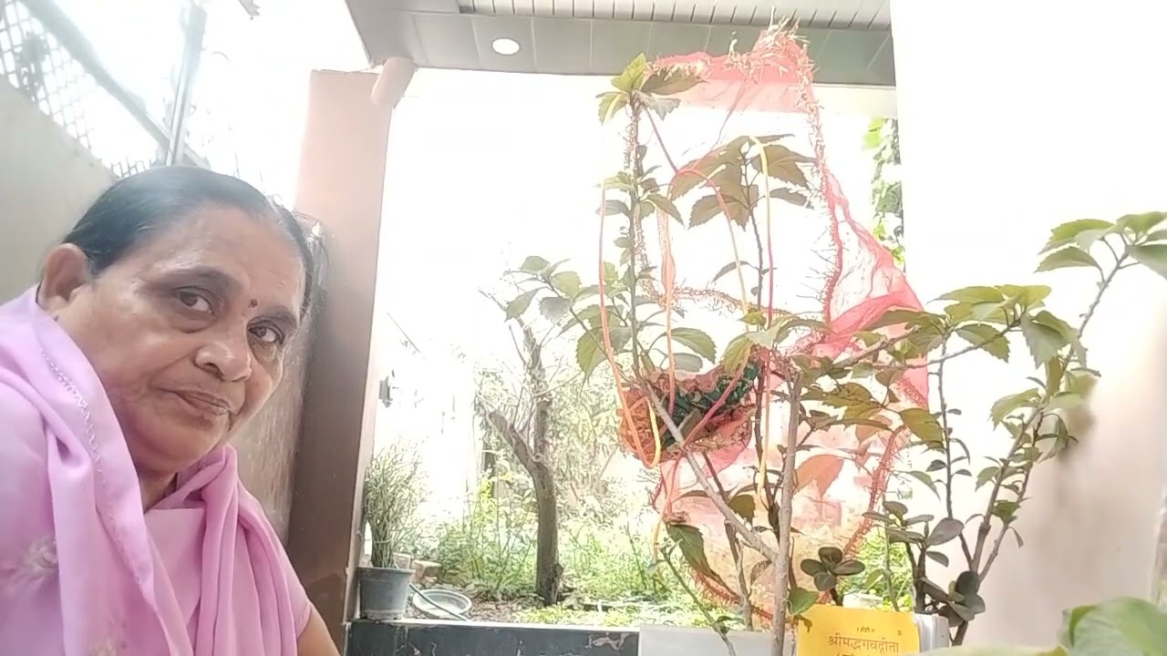 श्री भागवत गीता, अध्याय तीन कर्म योग, श्लोक 1से43+Vishesh 💯अध्याय संपूर्ण🙏🏻 Hari Om tatsat 🙏🏻👍🏻