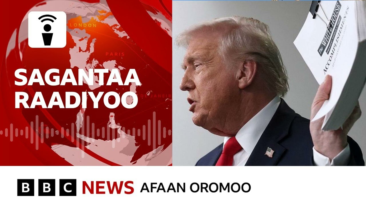 Dogongora Tiraamp shanan Abbayyaafi Hidha Abbayyaarratti| BBC News Afaan Oromoo