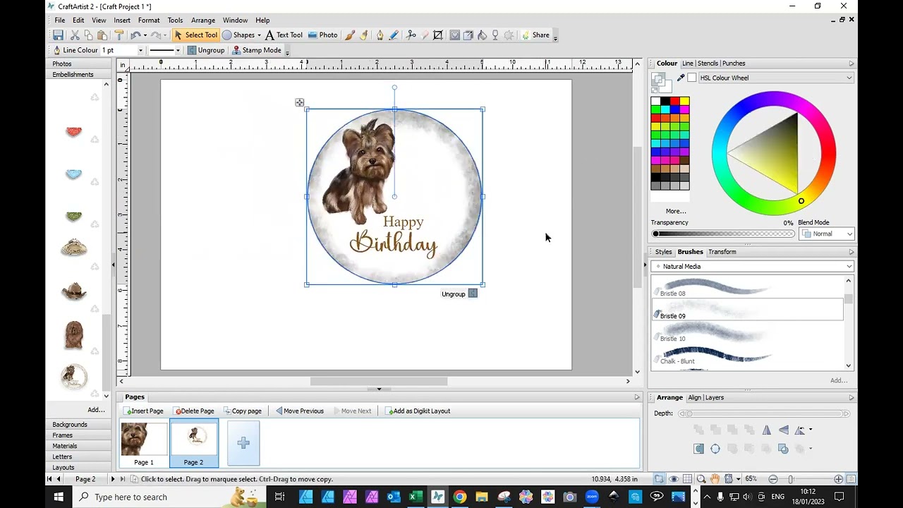 Creating a simple pet card