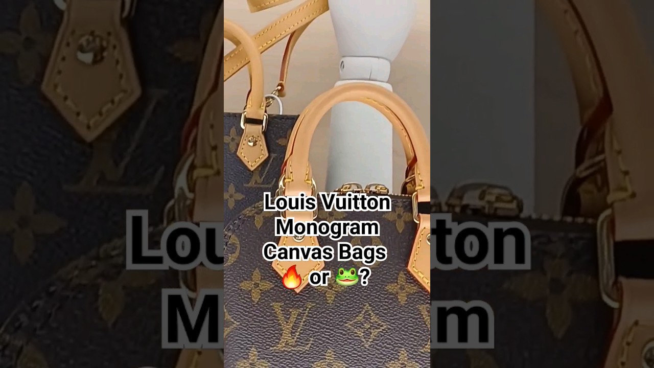 🥵 Louis Vuitton Monogram Canvas Bags in Paris, France
