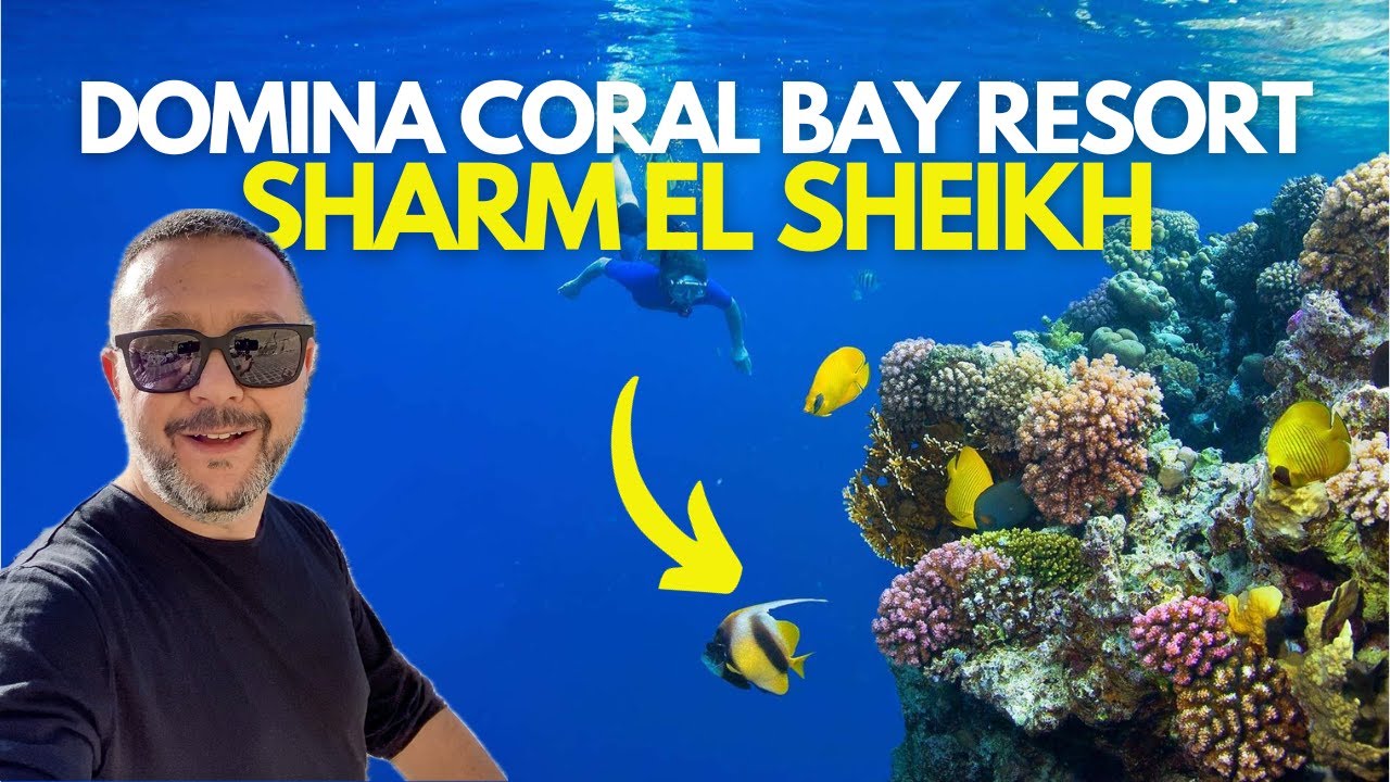 SHARM EL SHEIKH 🇪🇬: IMMERSIONE nella Barriera Corallina (Domina Coral Bay) [Ep. 4]