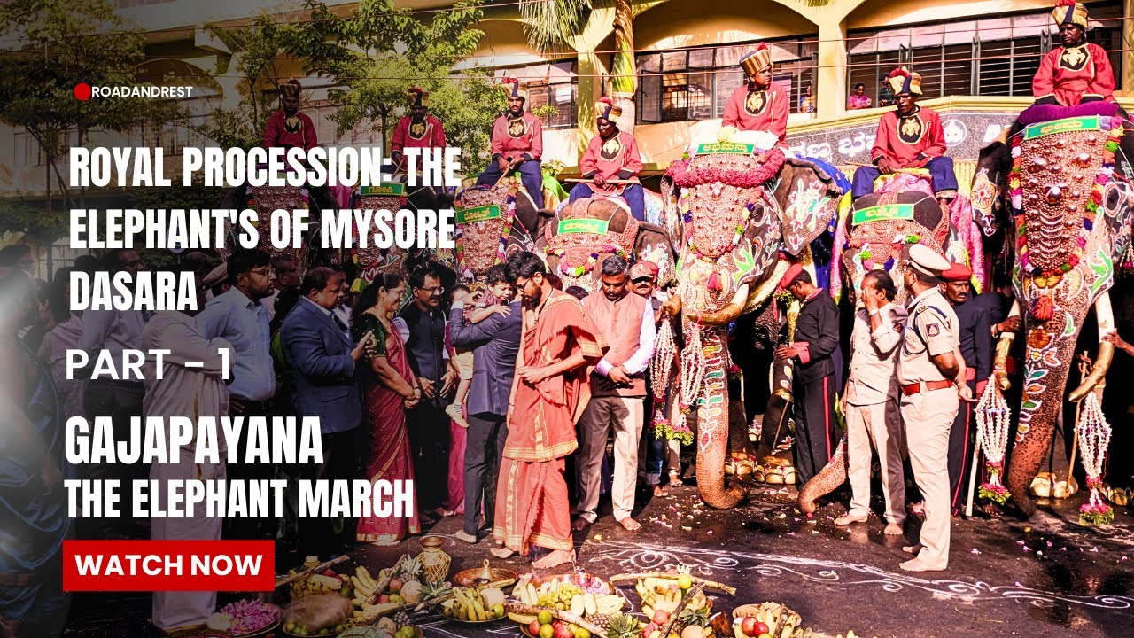Royal Procession, Elephants of Mysore dasara, Gajapayana   Part 1