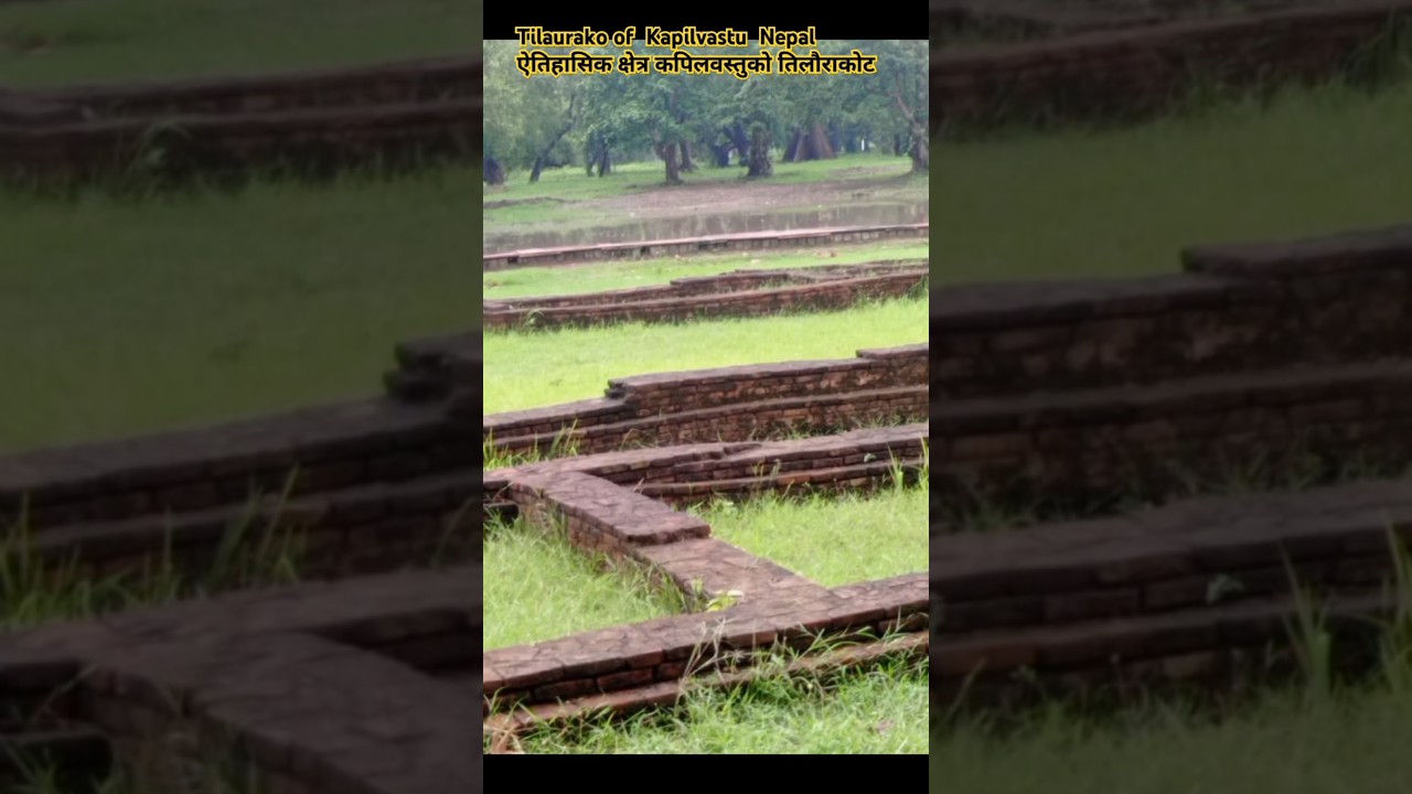 kapilvastu tilaurakot.कपिलवस्तु तिलौराकोटसम्बन्धी जानकारी historical place nepal shorts viralvideo