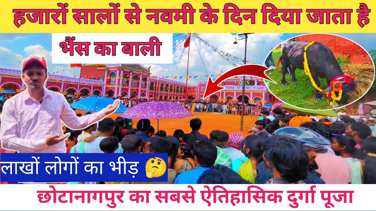 भैंस का live बली Ratu Kila Ranchi|Ratu Fort Ranchi|Ratu Kila|History of Ratu kila|रातू किला राँची 
