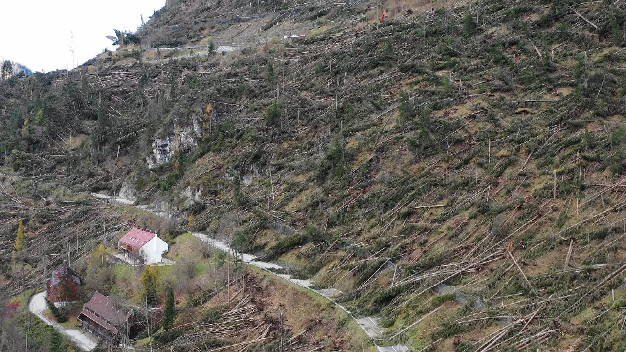 Vaia, sette anni fa la grande tempesta che ha cambiato il volto delle nostre valli