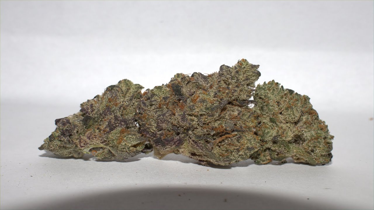 Strain Review - Chempie by Ripper Seeds