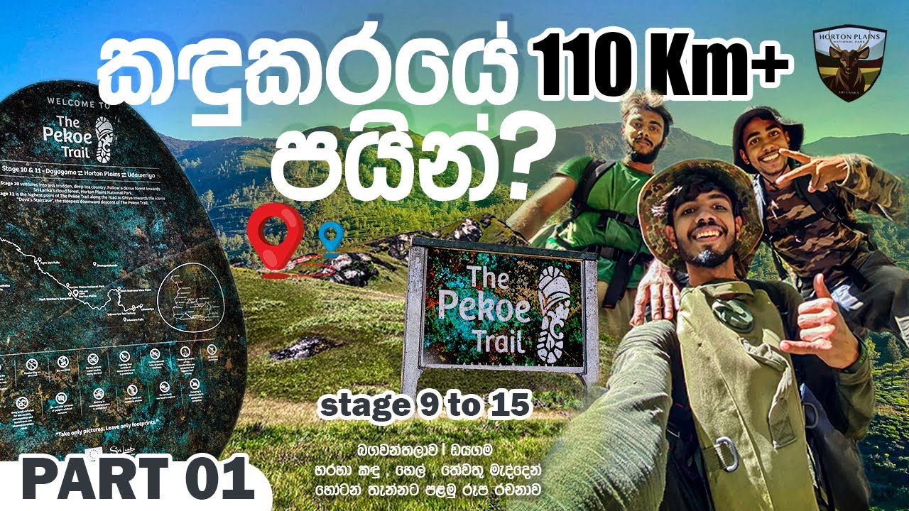 කඳුකරයේ කිලෝමීටර් 110 ක් පයින් | Pekoe trail | stage 9 to 15 | බගවන්තලාව සිට ඇල්ල | Part 1