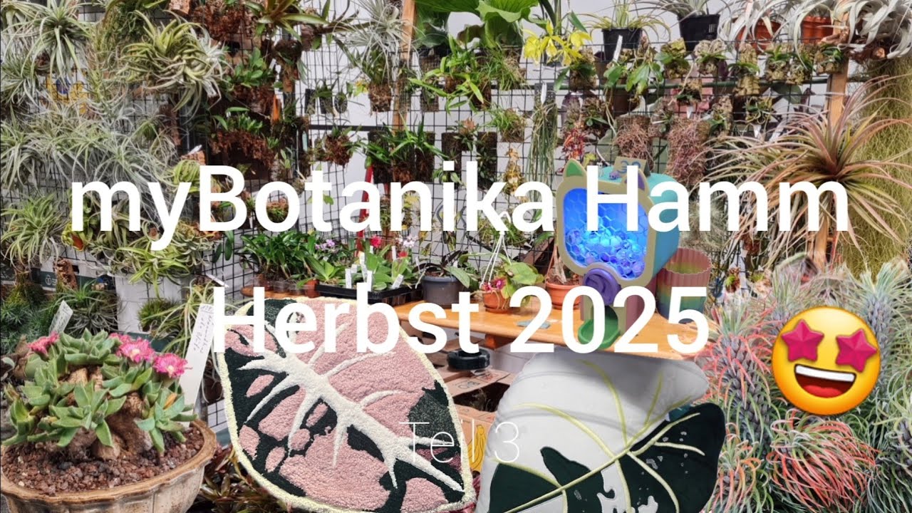 myBotanika Hamm 🌱 | Herbst 2025 🍁 | Teil 3 💚