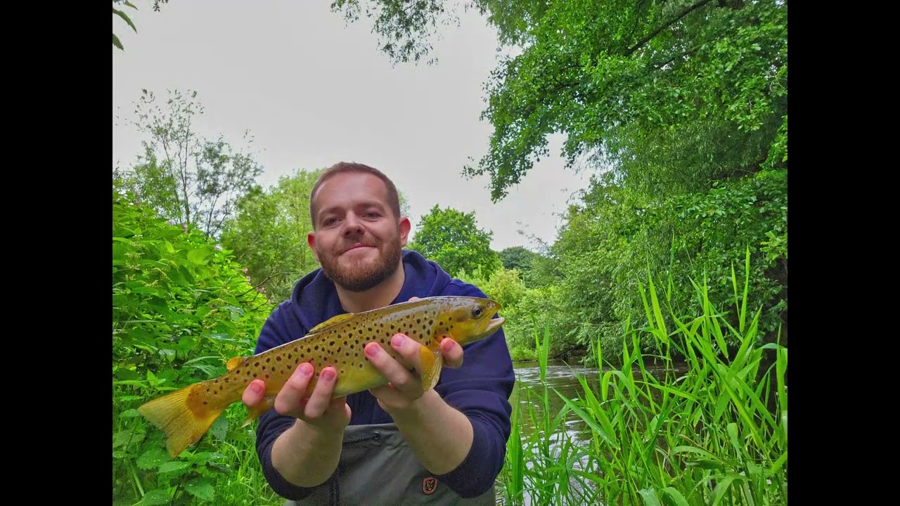 River Dane Fishing - July 2024