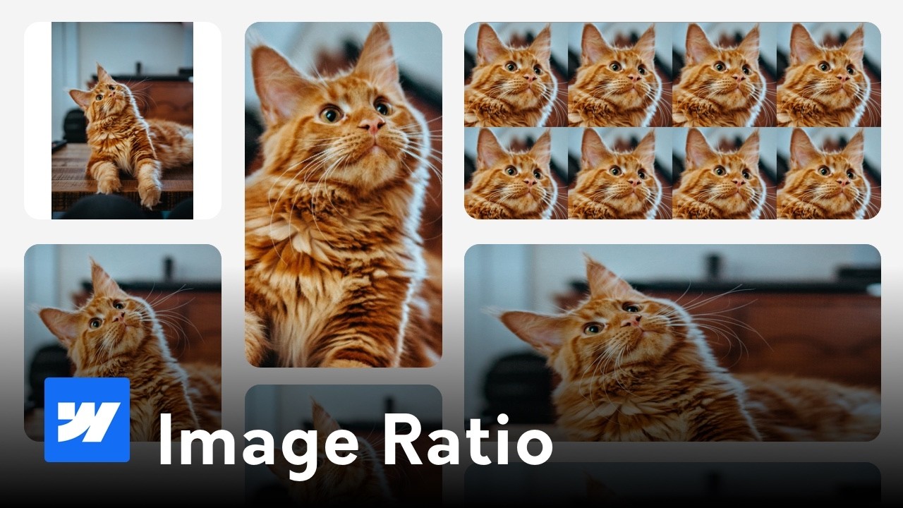 Mastering Image Aspect Ratios in Webflow