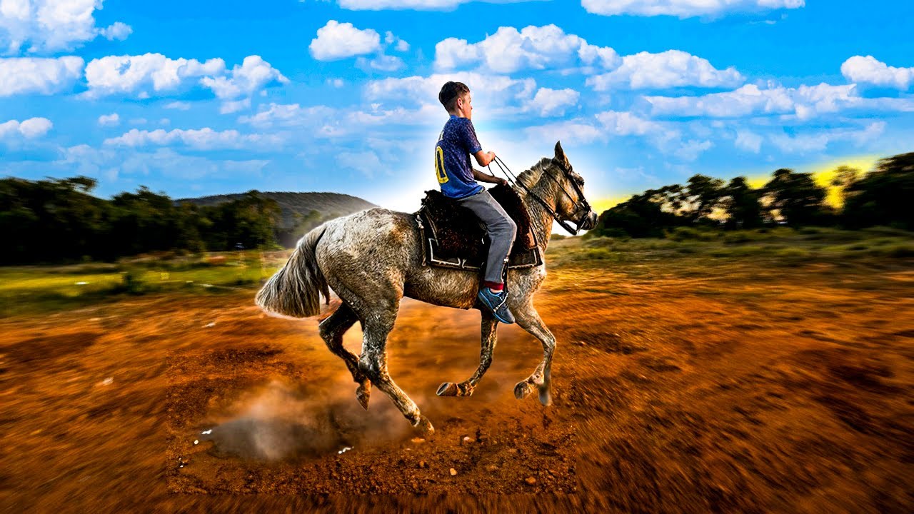 O BOCA DE TRAIRA DISPAROU COM O CAVALO
