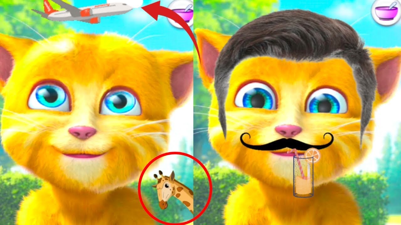 talking ginger funny videos || 🐒🐈🙀😹