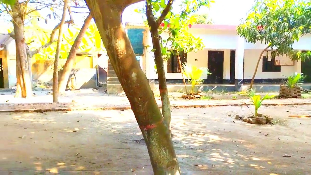 সুন্দলপুর আগরহাটি মহিলা আলিম মাদ্রাসা। মনিরামপুর, যশোর