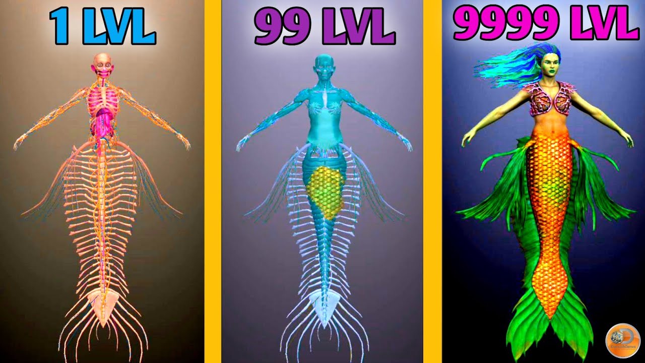 Idle Human! MAX LEVEL Mermaid EVOLUTION Idle Human!