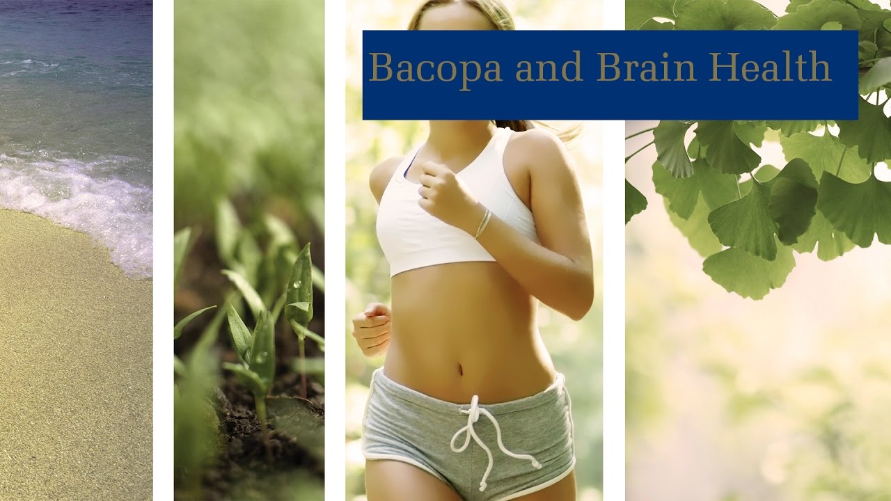Bacopa and Brain Health