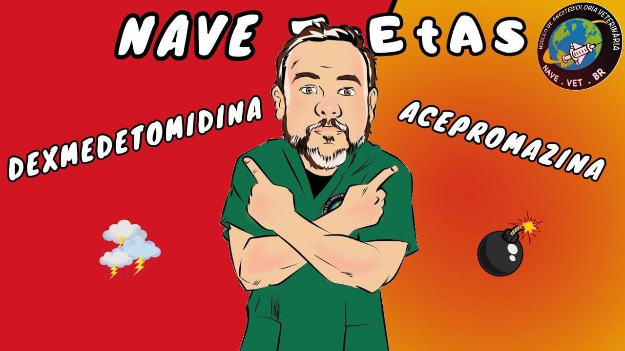 ACEPROMAZINA ou DEXMEDETOMIDINA ❓ - NAVE Tretas #5 #anestesiaveterinaria