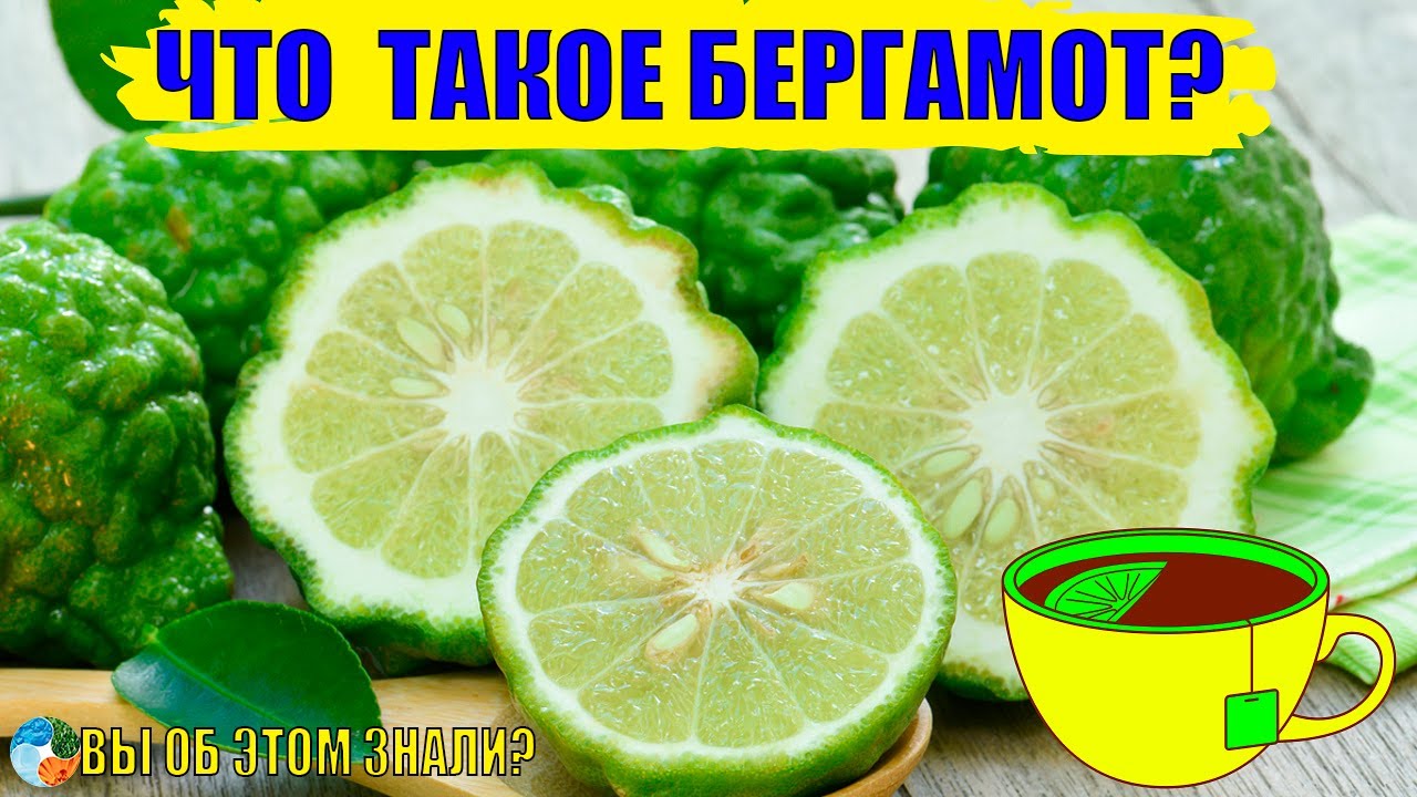 Что такое бергамот?