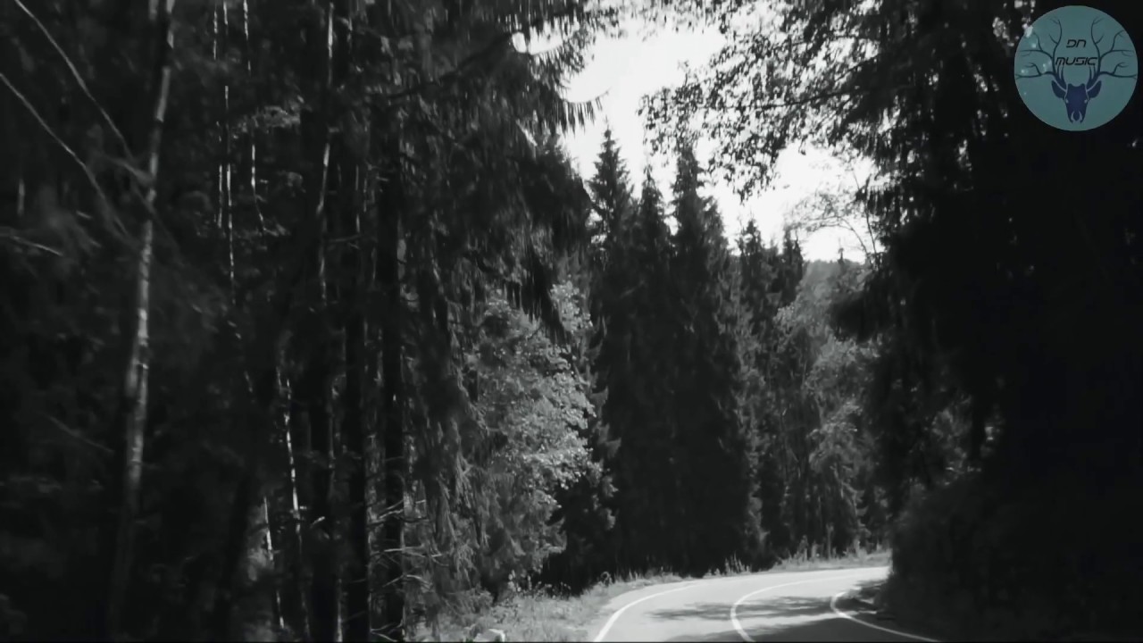 Gaullin - Moonlight - By [ Dn Music] Video Edit