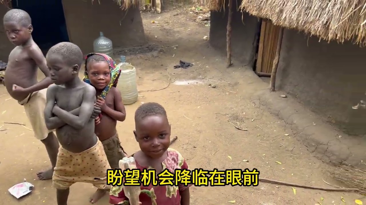 梦想的翅膀
