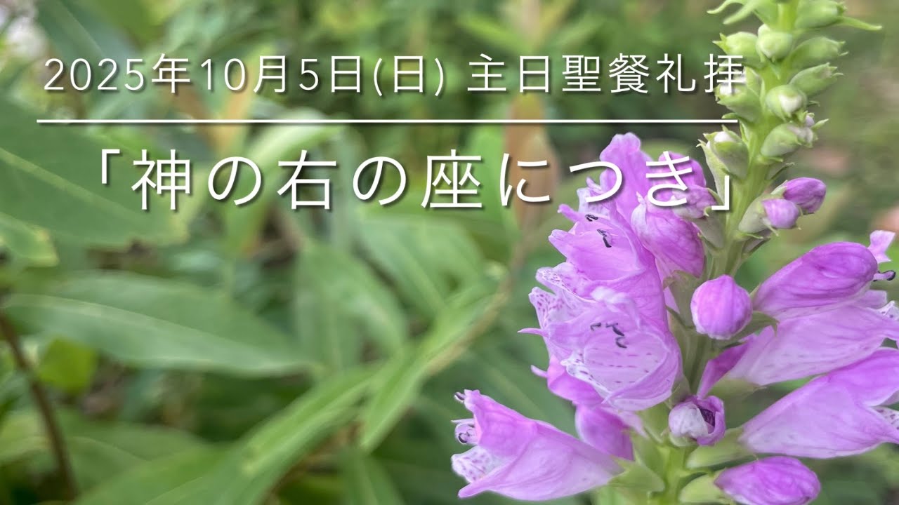 「神の右の座につき」　2025年10月5日(日) 主日聖餐礼拝