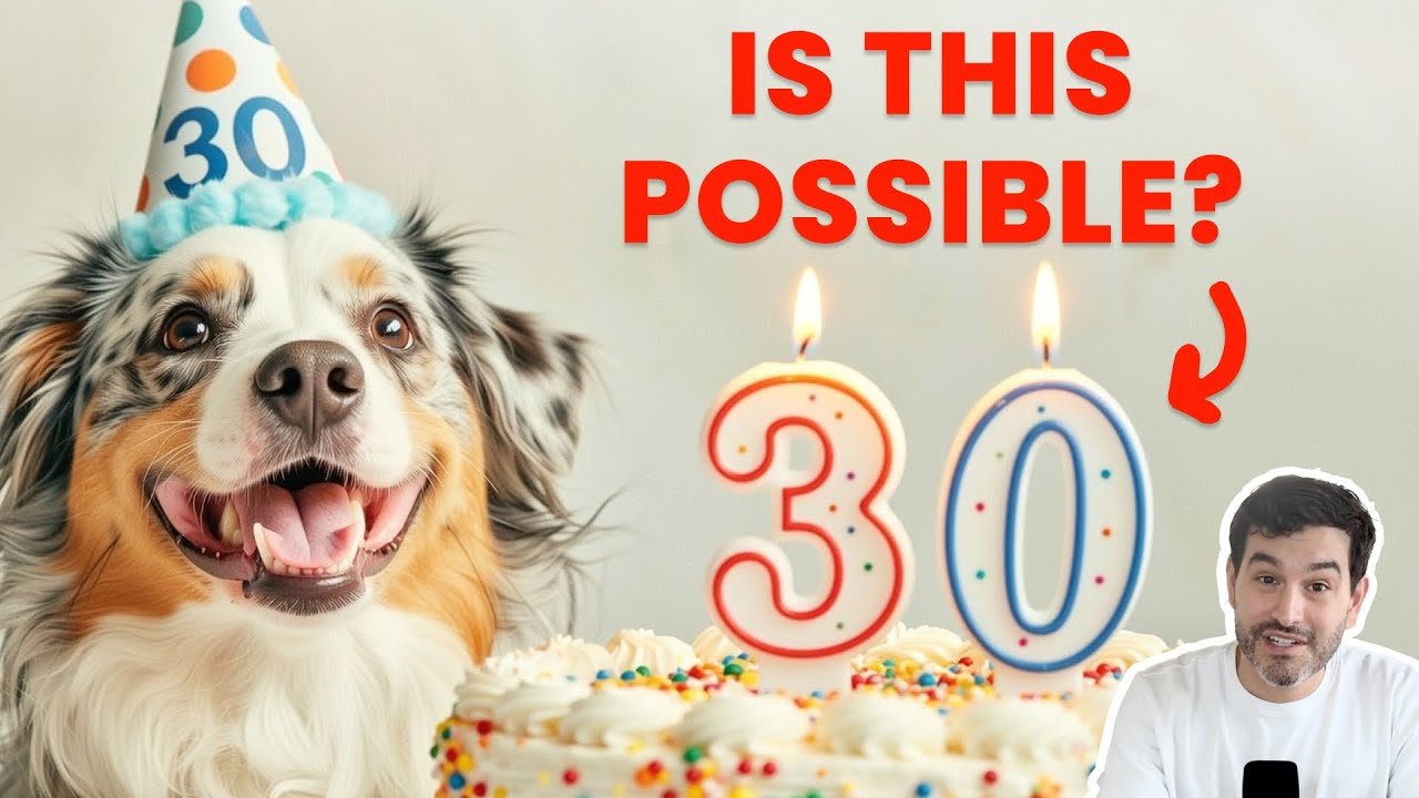Dog Longevity Secrets: Could They Really Live 30 Years?