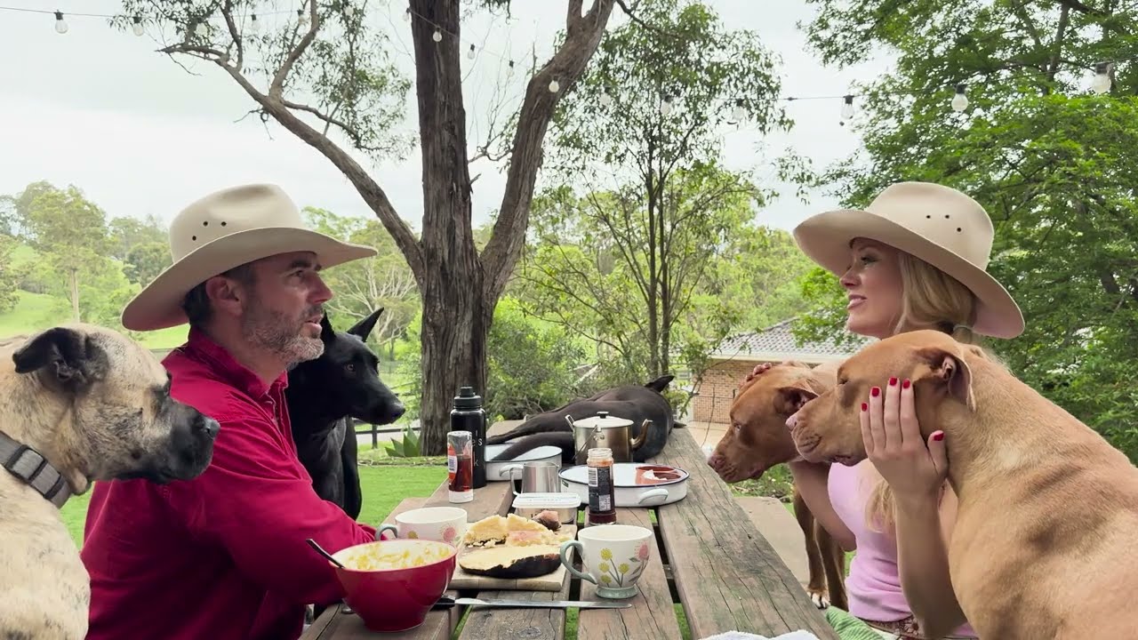 Pack 🐕 Dynamics after the Loss of our Matriarch - over a Cuppa ☕️ and Damper 🍞