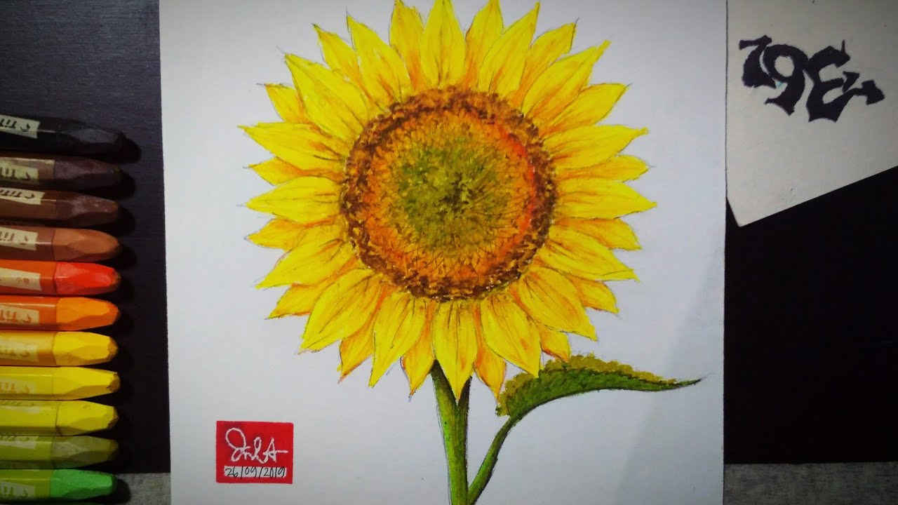 How to draw and color sunflower with oil pastel | Tutorial for kids | Art workshop | For my students
