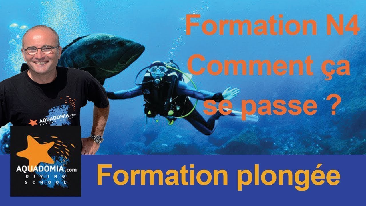 Stage plong&eacute;e N4 pour passer son niveau 4 guide de palanqu&eacute;e comment &ccedil;a se passe ?