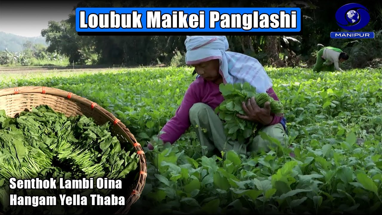 Loubuk Maikei Panglashi | Senthok Lambi Oina Hangam Yella Thaba