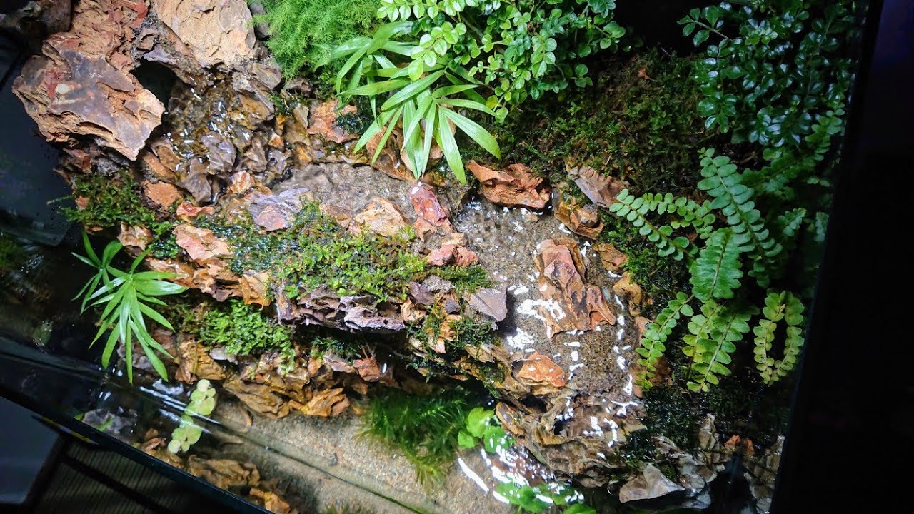 【アクアテラリウム制作】滝と川と水中洞窟のあるアクアテラリウム制作その2
