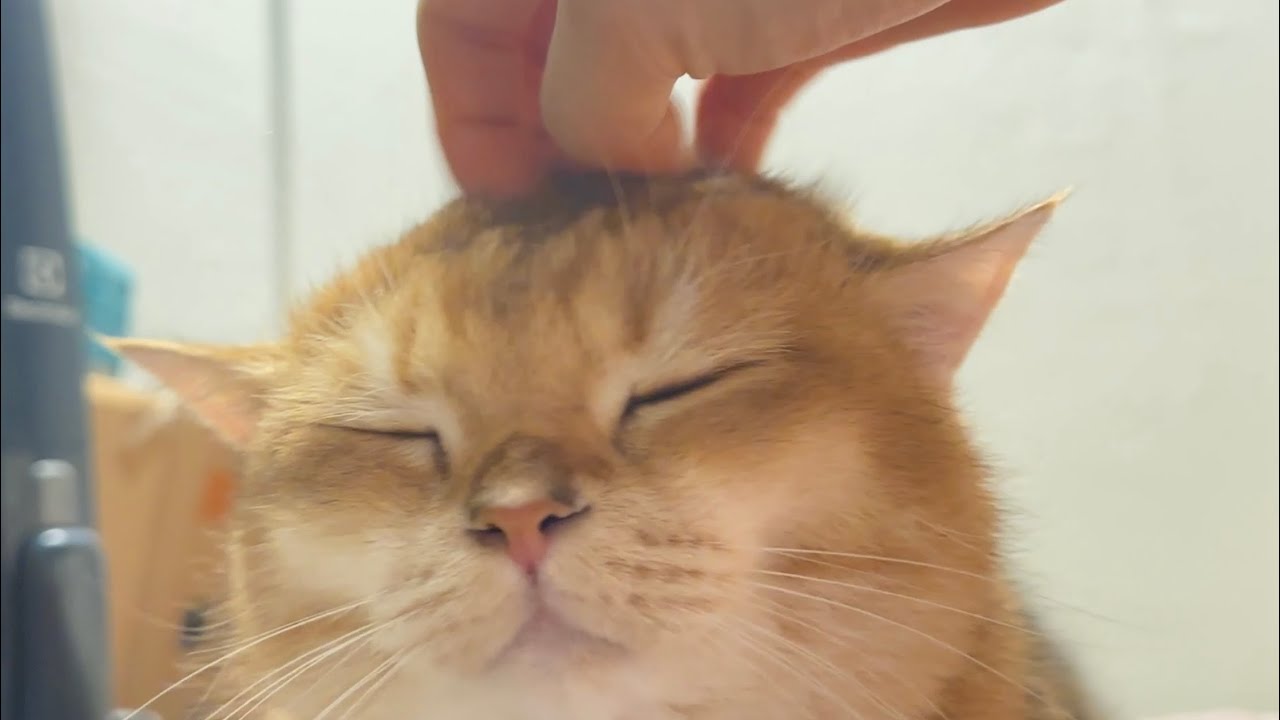 일어나라 휴먼