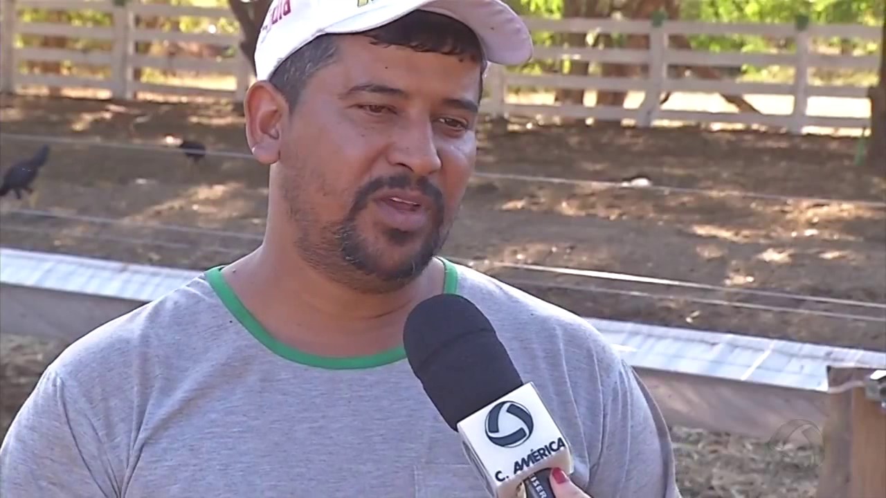 Cocho feito com bag é alternativa para pecuaristas