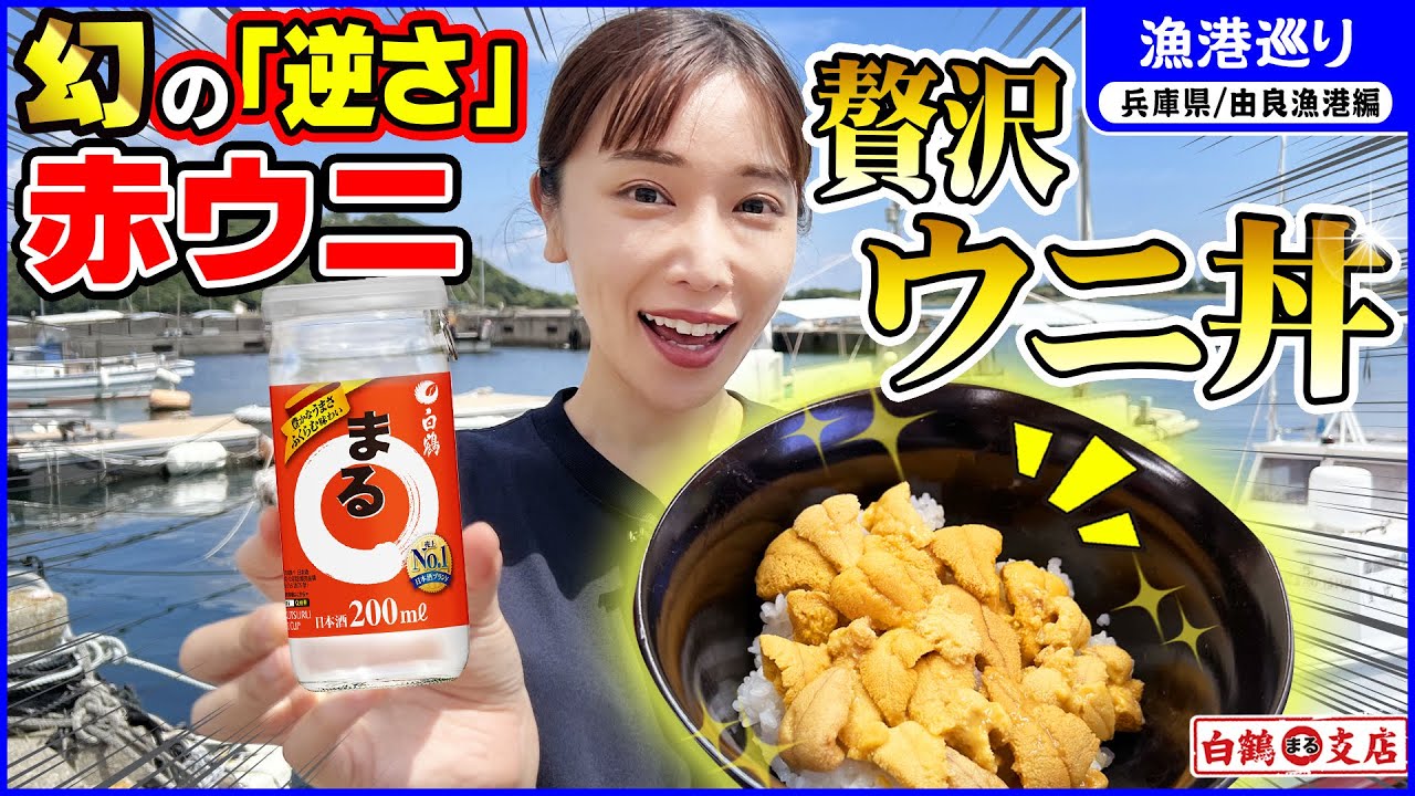 【由良の赤ウニ】1粒で板ウニ1枚分の甘み！魚屋も滅多にお目にかかれない激レア食材！新鮮な証「逆さウニ」の理由とは！？【漁港巡り 兵庫県 由良漁港編】