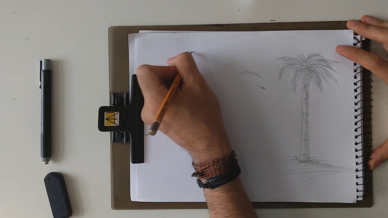Desenhando Palmeira e Buriti - AULA DE DESENHO - 5/10
