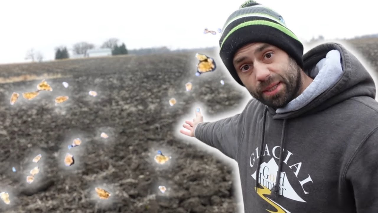 Farm land Gold. 