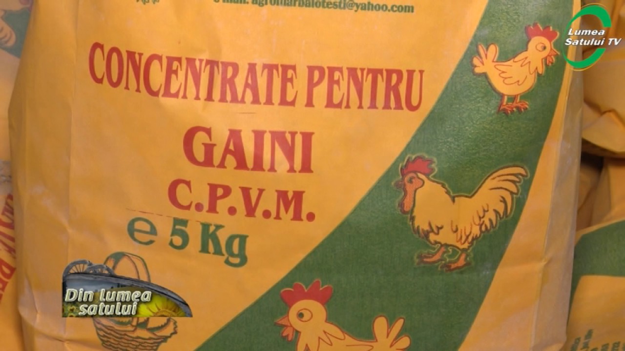 Furajele, cea mai sigura afacere