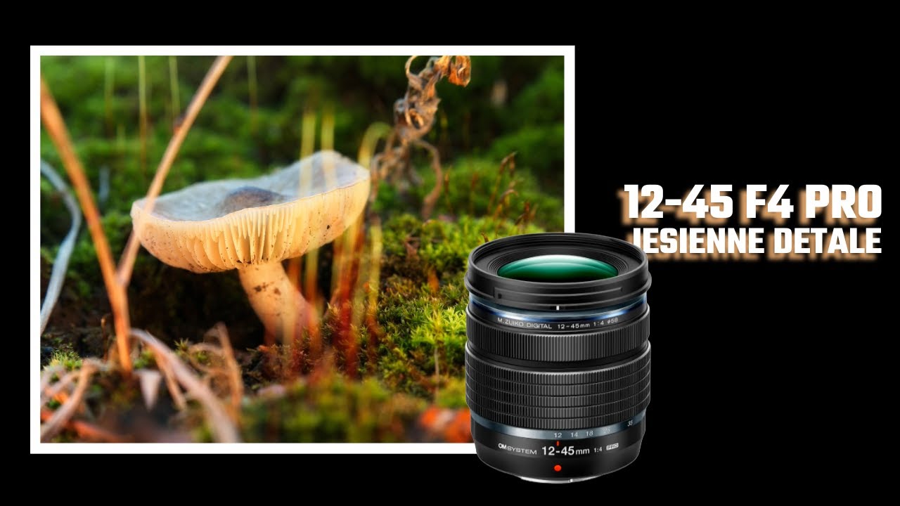 Olympus 12-45 f4 pro - (prawie) makro bez obiektywu makro, fajny obiektyw do detali