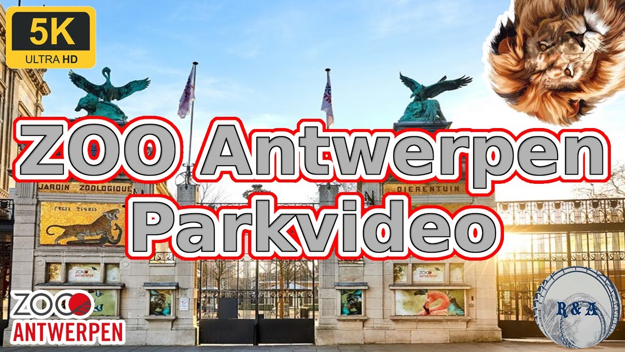 ZOO Antwerpen Parkvideo 5K