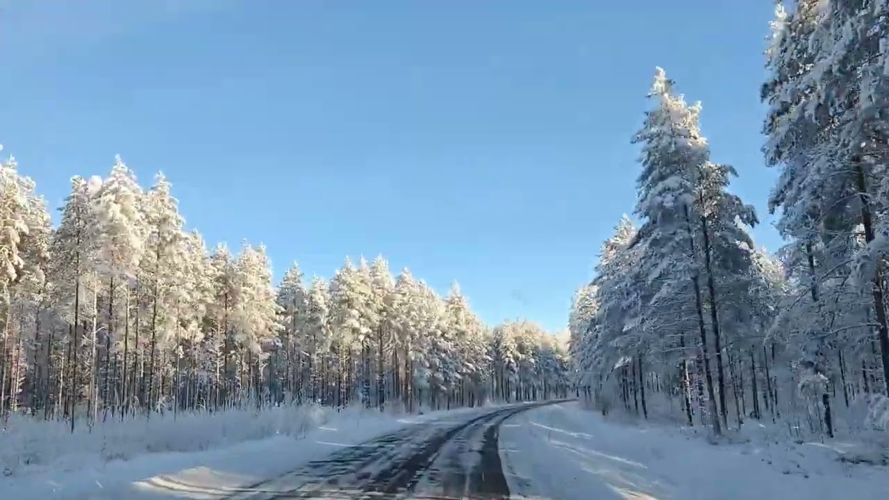 ❄️🇫🇮 Winter Driving ❄️ Talviajelua #Finland #winterinfinland  #natureinfinland #TheLyricalLoophole