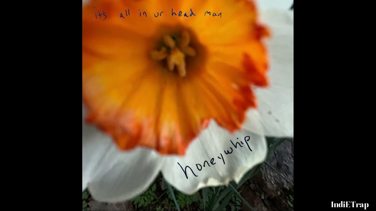 Honeywhip - It's All in Ur Head Man
