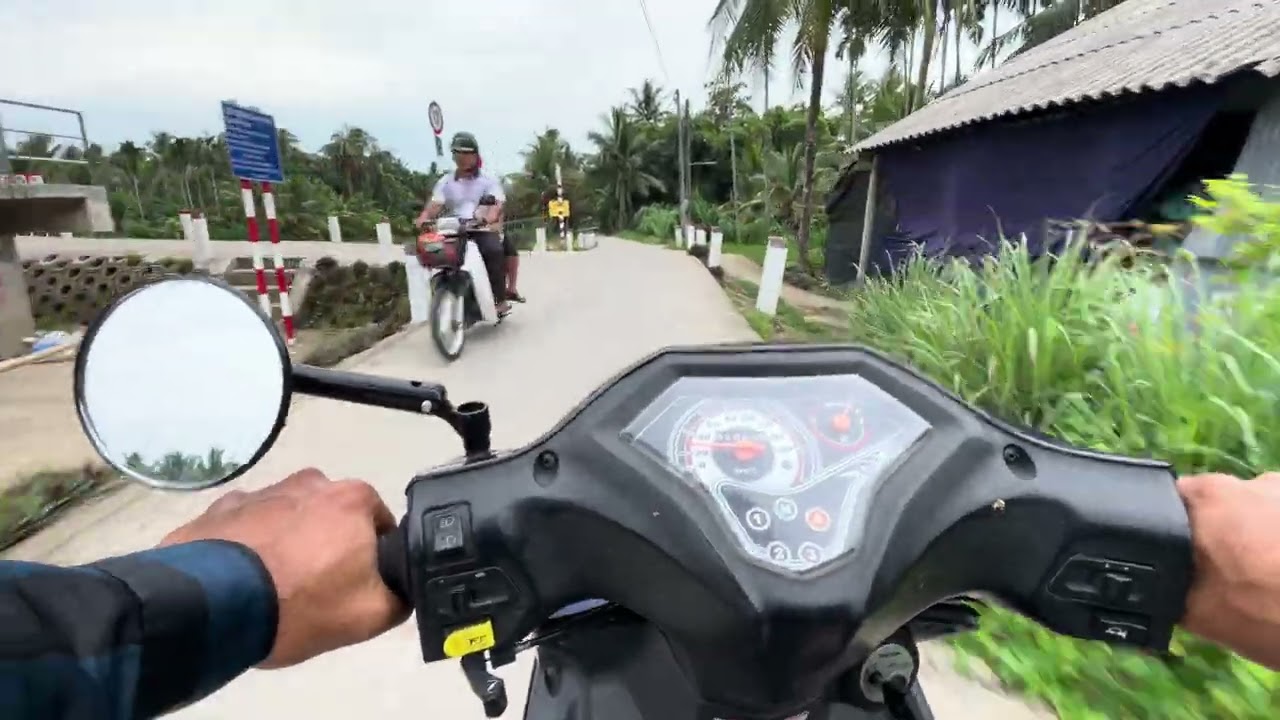 穏やかな緑の葉を通り抜ける道路でバイクに乗る
