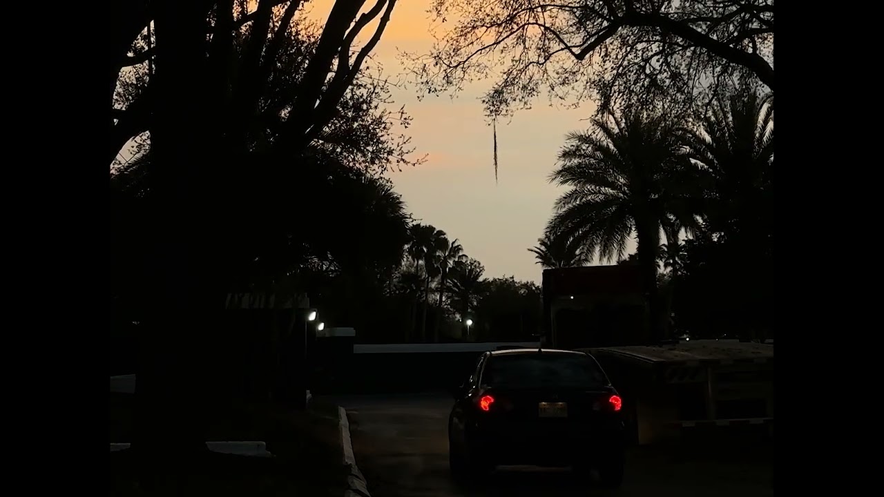 the one that remembers.mp4