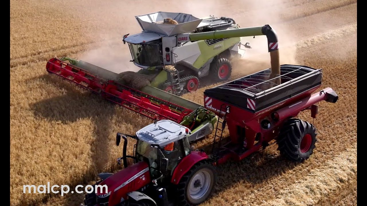 Harvest 2022: Claas Lexion 8900 TT + Convio 1380, Horsch UW 160 chaser bin MF 7719 S DynaVT barley