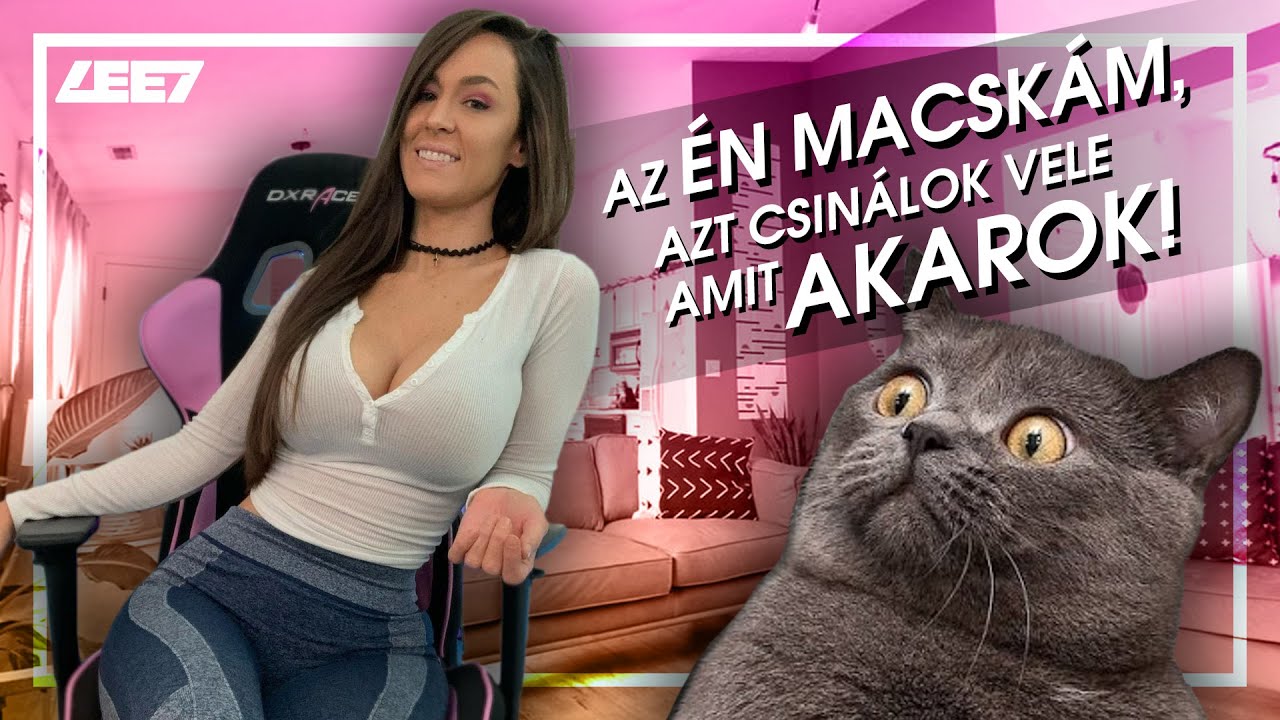 STREAMEREK, AKIK LEJÁRATTÁK MAGUKAT